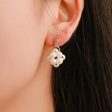 Load image into Gallery viewer, Dangle Earrings