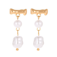 Load image into Gallery viewer, Dangle Earrings